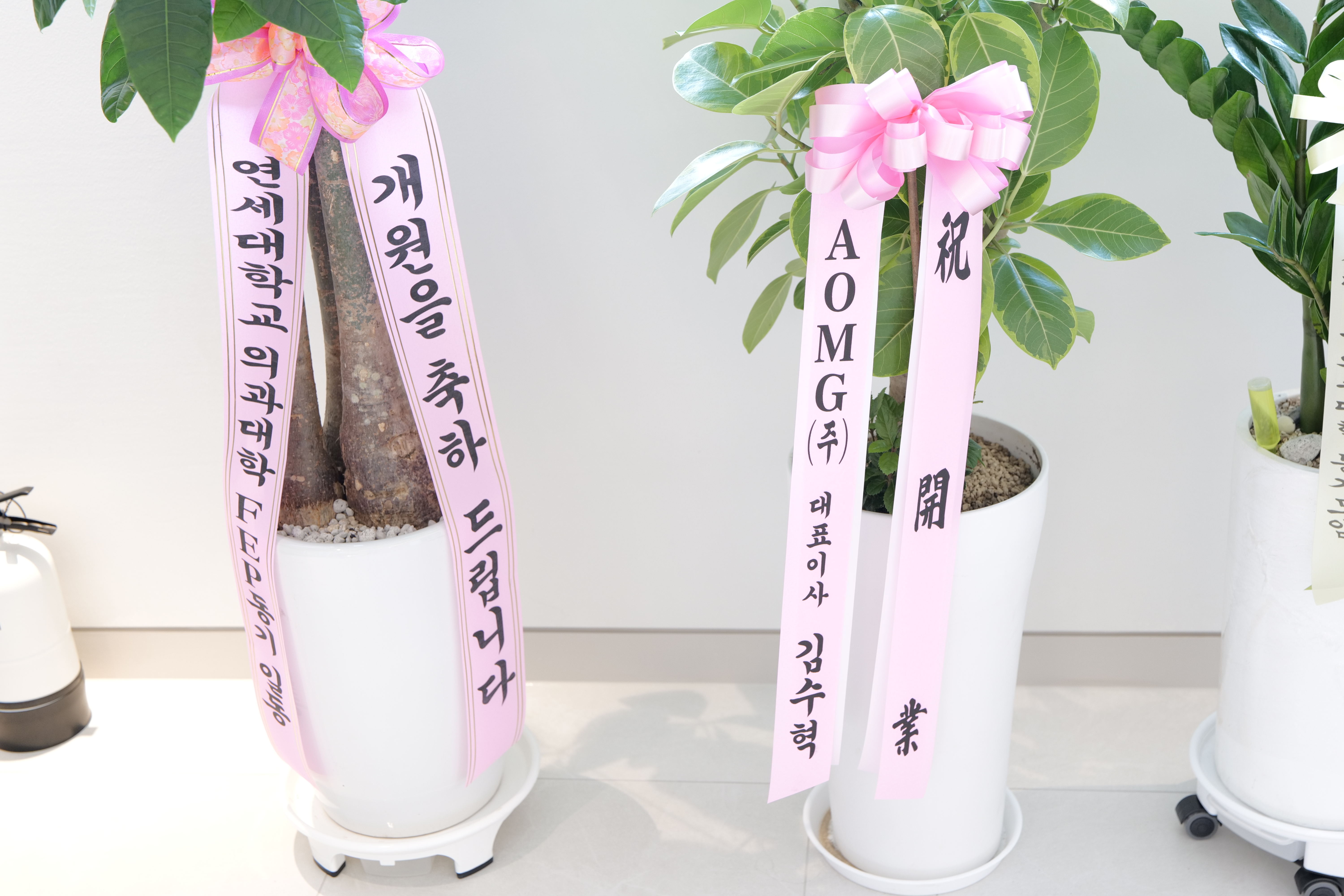 P1135493 사용.JPG